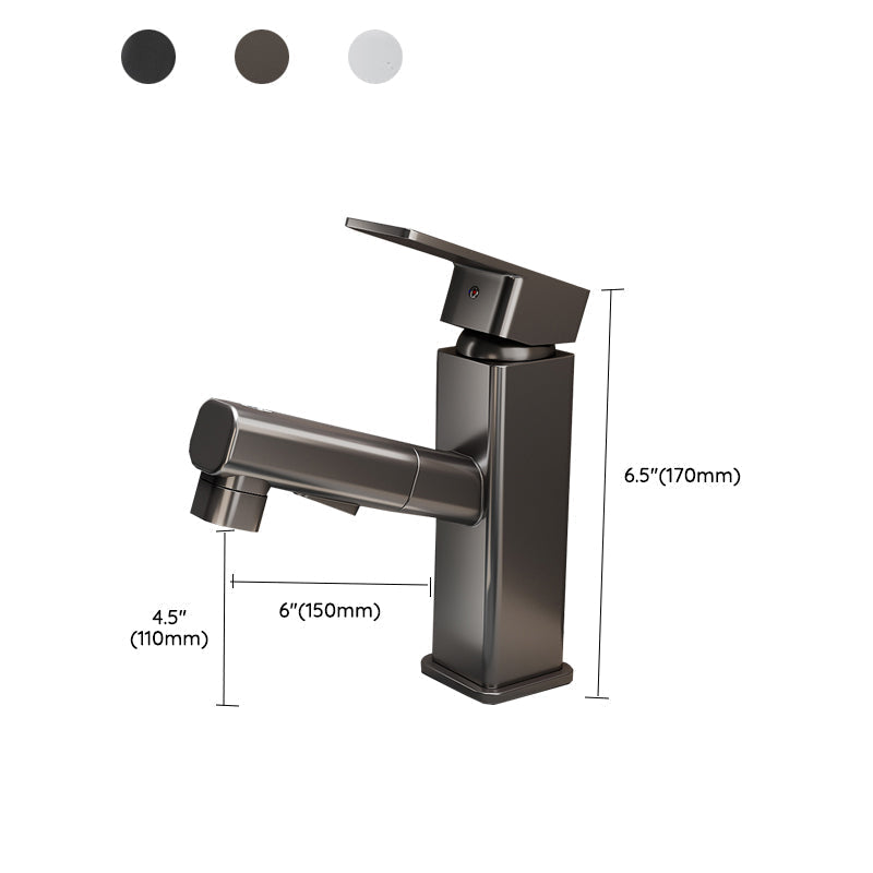 Kitchen Faucet with Swivel Spout, Single Handle Faucet with Pull-Down Sprayer
