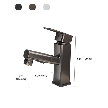 Kitchen Faucet with Swivel Spout, Single Handle Faucet with Pull-Down Sprayer