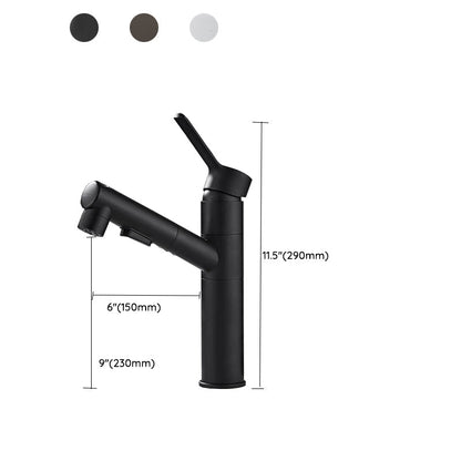 Kitchen Faucet with Swivel Spout, Single Handle Faucet with Pull-Down Sprayer