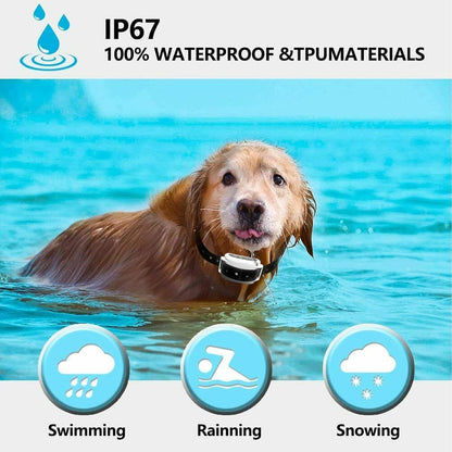 BowLift | Wireless Dog Fence Collar System | Waterproof, Rechargeable & Ideal for Home Training and Outdoor Adventures