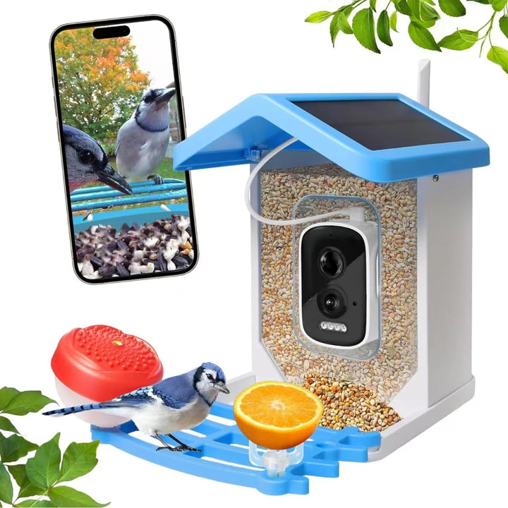 Smart Bird Feeder with Solar Camera – AI Bird Recognition & Night Vision | Kalsten