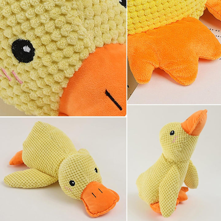 Kalsten | Calming duck for dogs