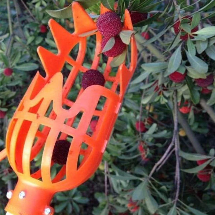 Fruit Picker | Kalsten