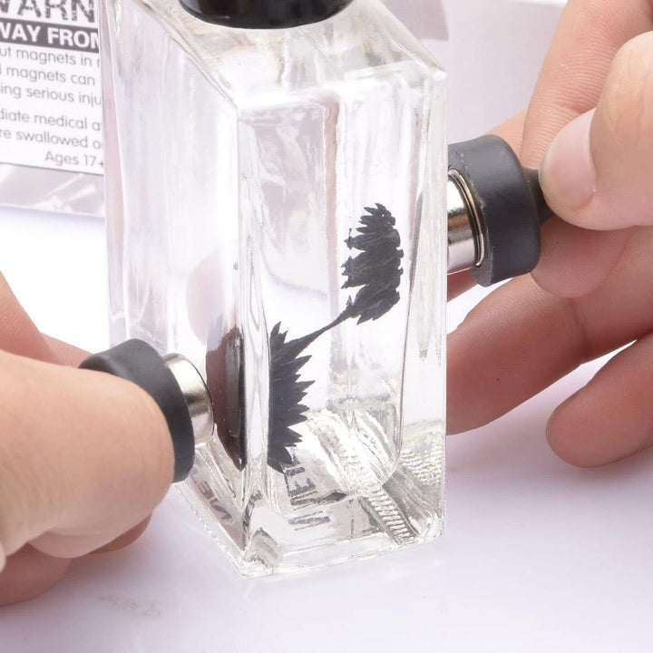 Ferrofluid Magnetic Display Toy | Kalsten