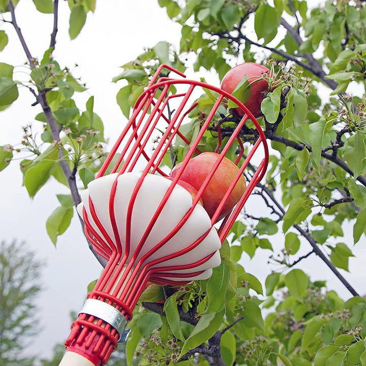 Fruit Picker Tool | Kalsten
