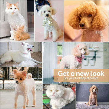 Kalsten | Dog Grooming Clippers Kit