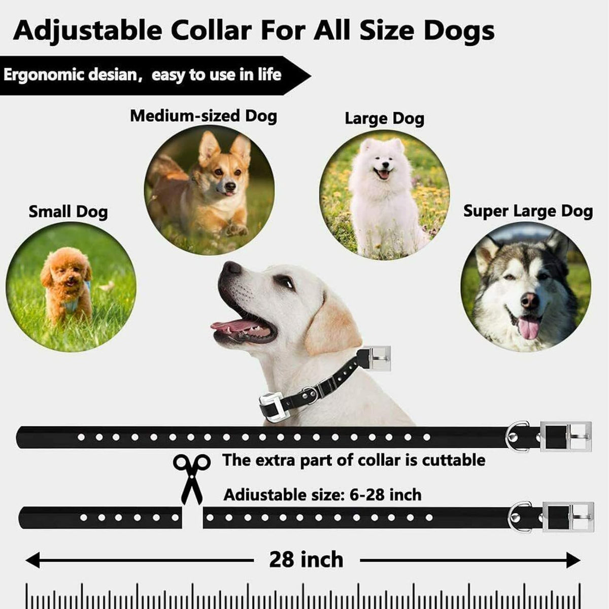 BowLift | Wireless Dog Fence Collar System | Waterproof, Rechargeable & Ideal for Home Training and Outdoor Adventures
