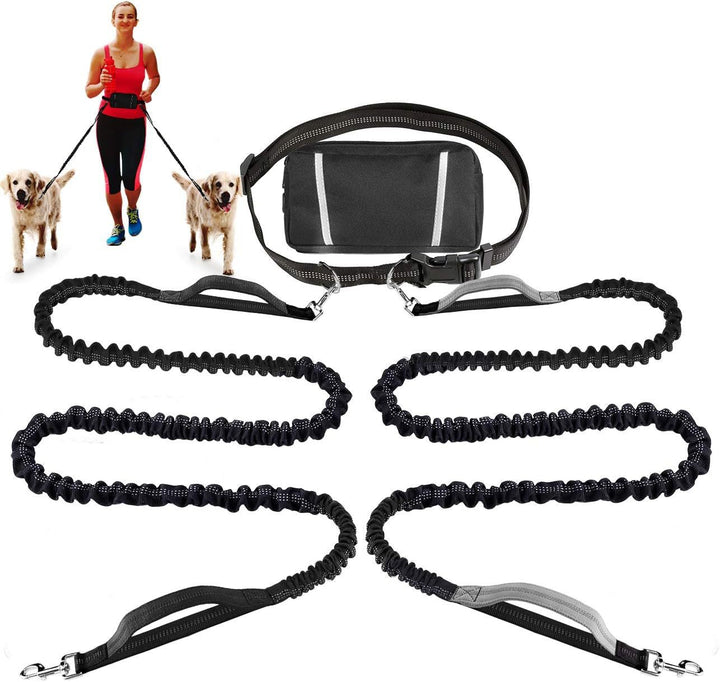FlowLeash — Experience gentle control and relaxed walks without jerks! | Kalsten