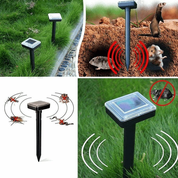 the pests - Healthy and protected garden - Ecological and effective | Kalsten