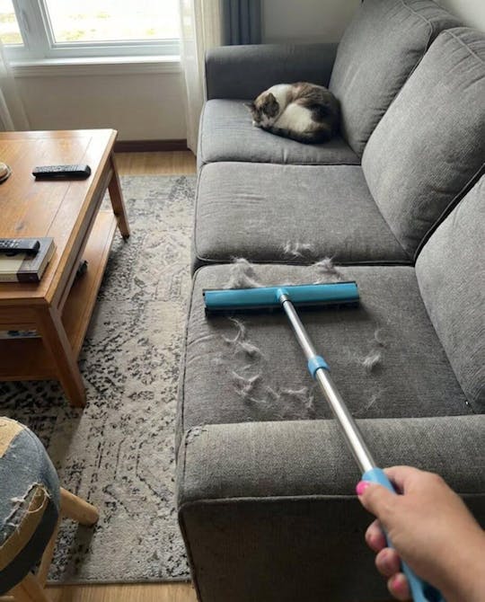 FurCleer — Put an end to pet hair and feel free in your home | Kalsten