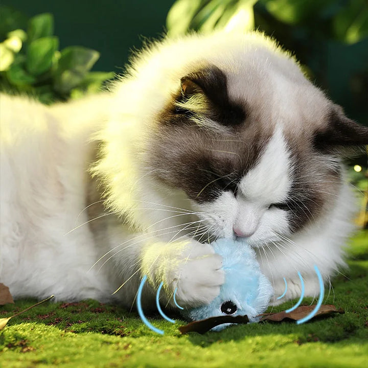 Kalsten | – smarter interactive plush ball for cats | buy 1, get 1 free 🎁