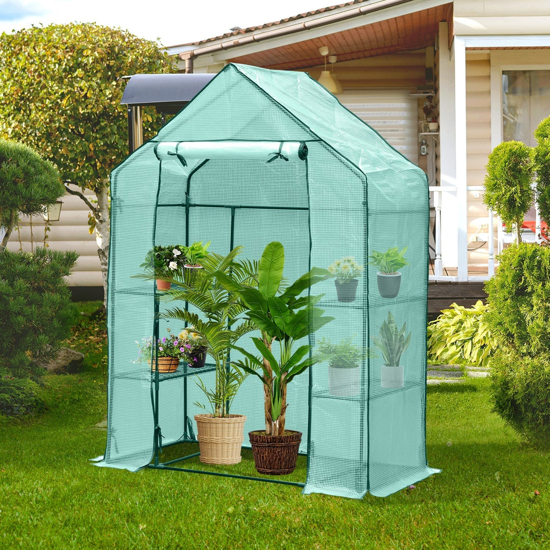 Greenhouse Film Greenhouse with Shelves | Kalsten