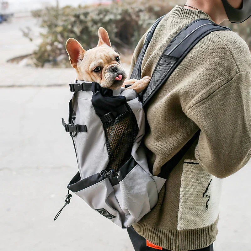 Kalsten | Dog Backpack – Comfortable Carrying Bag for Medium Dogs with Safety Strap and Storage Pockets