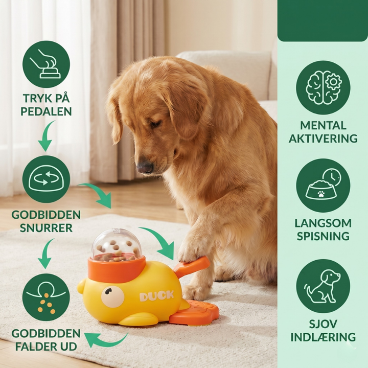 FeediDuck Slow Feeder for Dogs and Cats | Kalsten