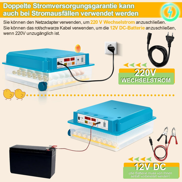 Brutautomat Fully Automatic Incubator for Chickens 64 Eggs | Kalsten