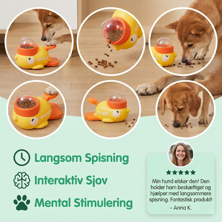 FeediDuck Slow Feeder for Dogs and Cats | Kalsten
