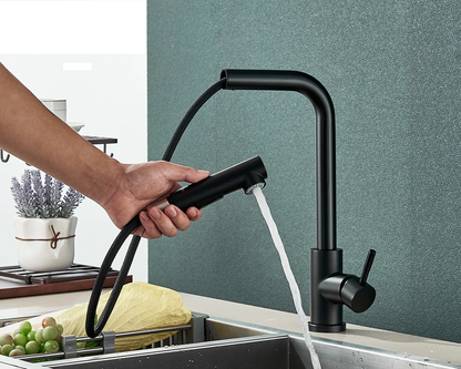 FlexiJet Black extendable kitchen faucet Bowlift