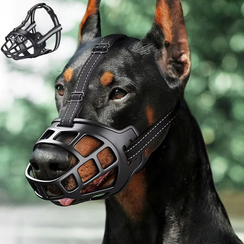 GuardPaw — Finally enjoy every walk worry-free and secure | Kalsten