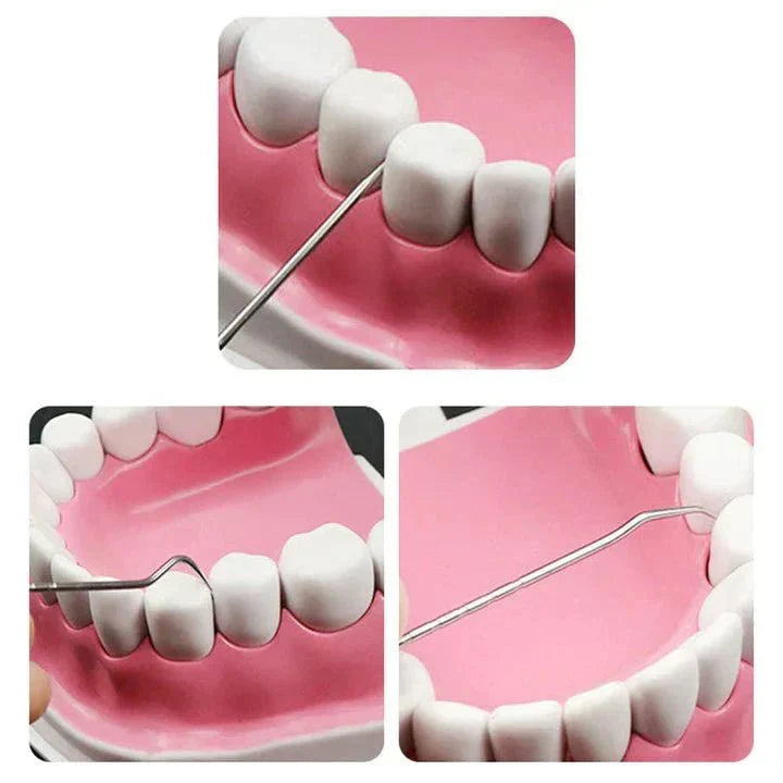 Your Oral Hygiene Care Kit Stainless Steel Eco-Friendly and Sustainable | Kalsten