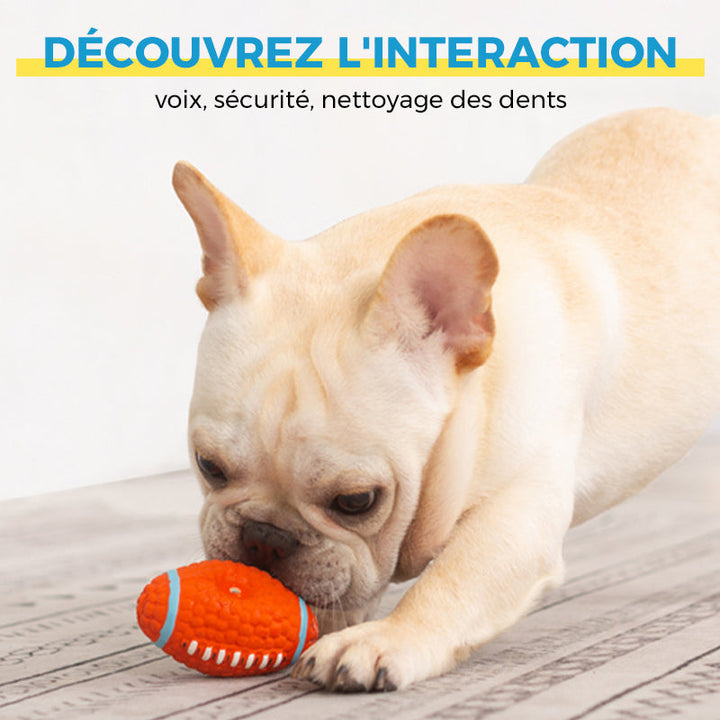 Immortal toy for aggressive chewers | Kalsten
