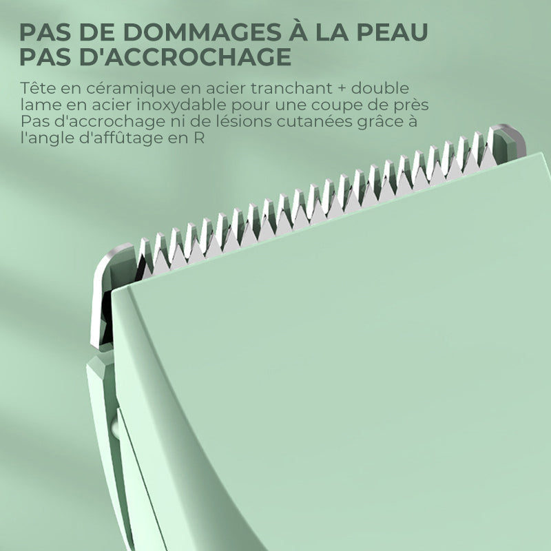 Pet Razor | Kalsten