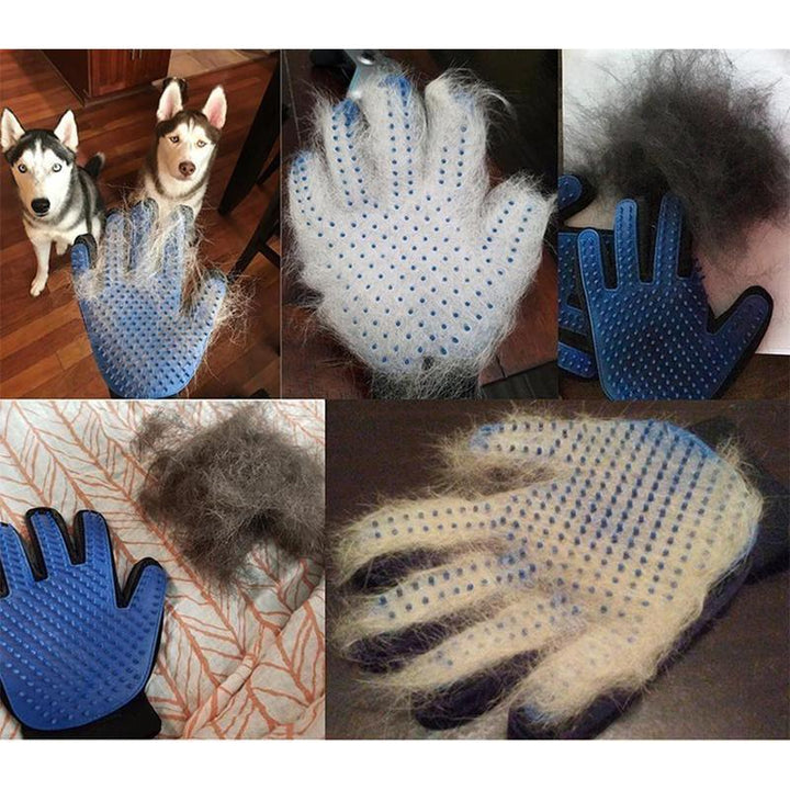 Pet Cleaning Gloves | Kalsten