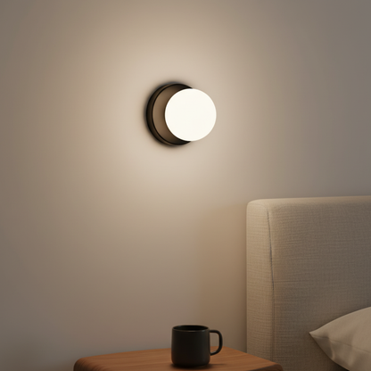 Frosted Glass Globe Wall & Ceiling Sconce