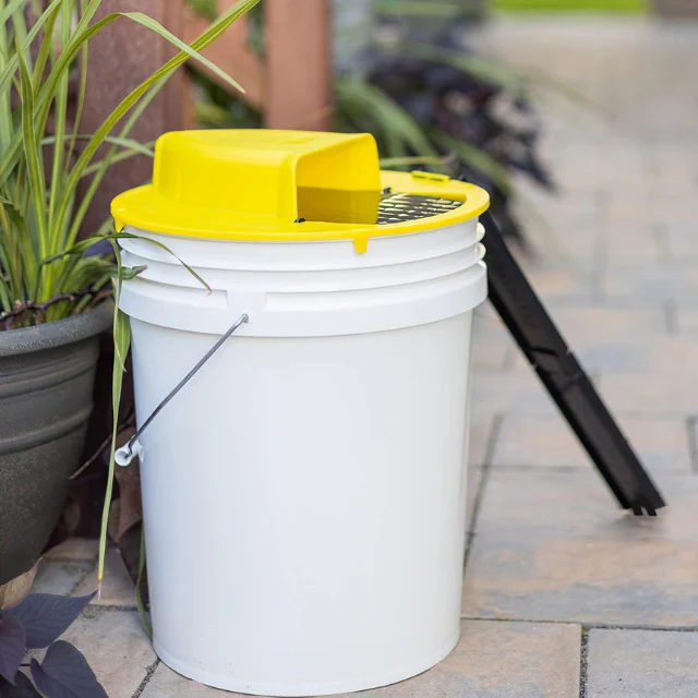 Reusable live trap for mice & rats | Kalsten