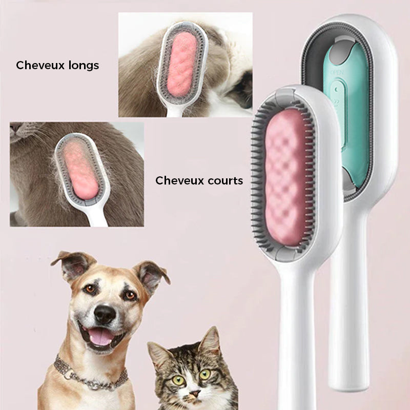 Pet Hair Removal Comb with Water Reservoir | Kalsten