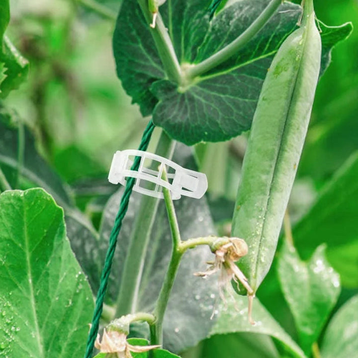 Practical Plant Support Clip | Kalsten