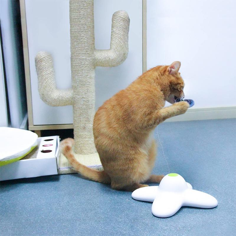 Kalsten | Automatic Butterfly Funny Cat Toy