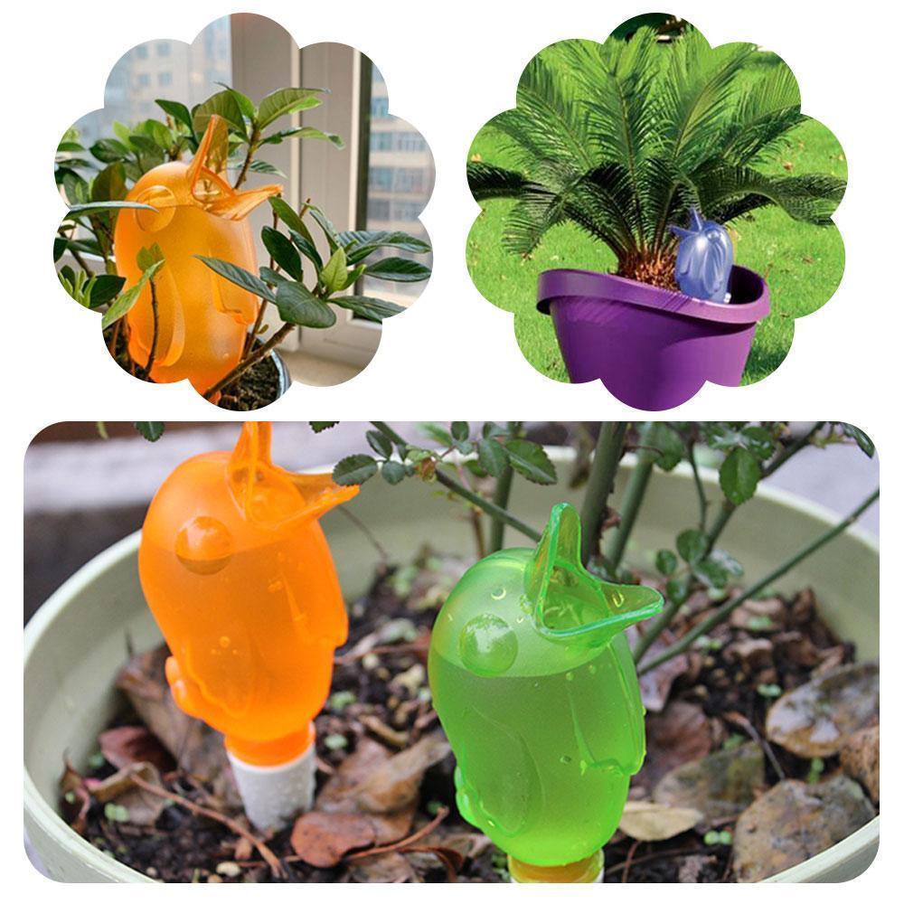 Automatic small bird watering device | Kalsten