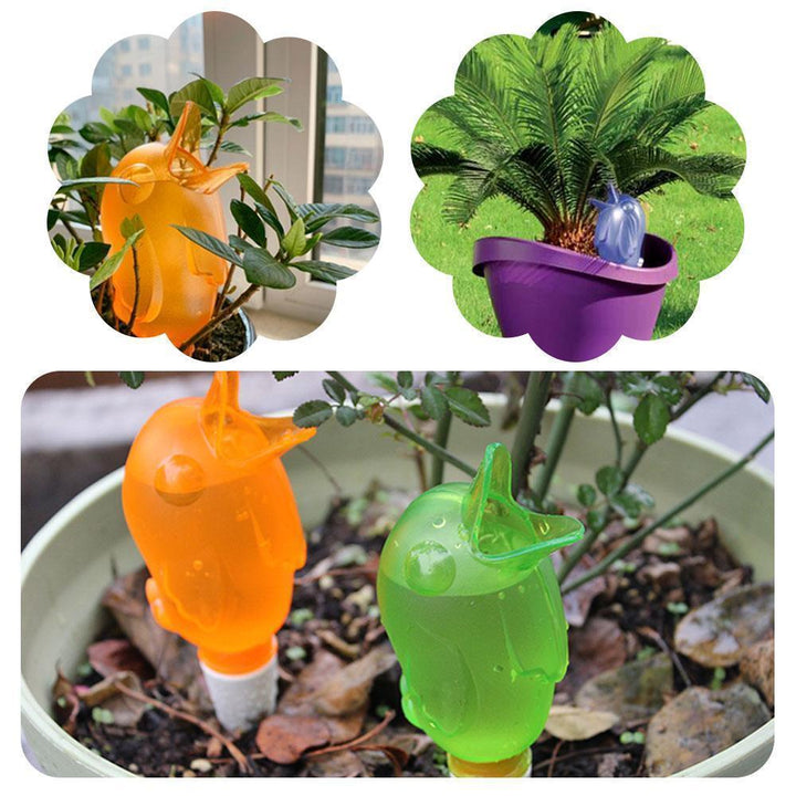 Automatic small bird watering device | Kalsten
