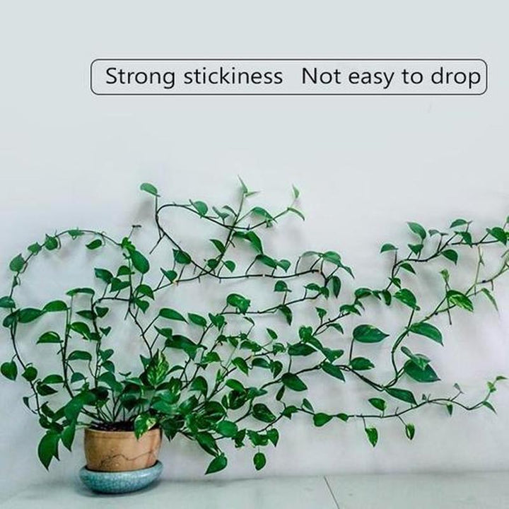 Wall Clip for Climbing Plants (30 pieces) | Kalsten