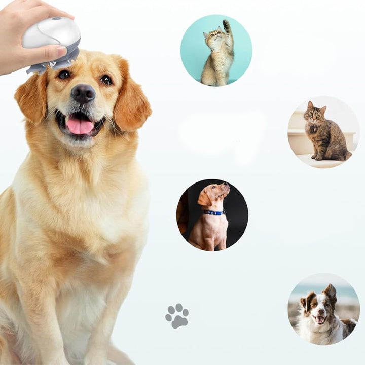 Mini Head Massager, available for pets and people | Kalsten