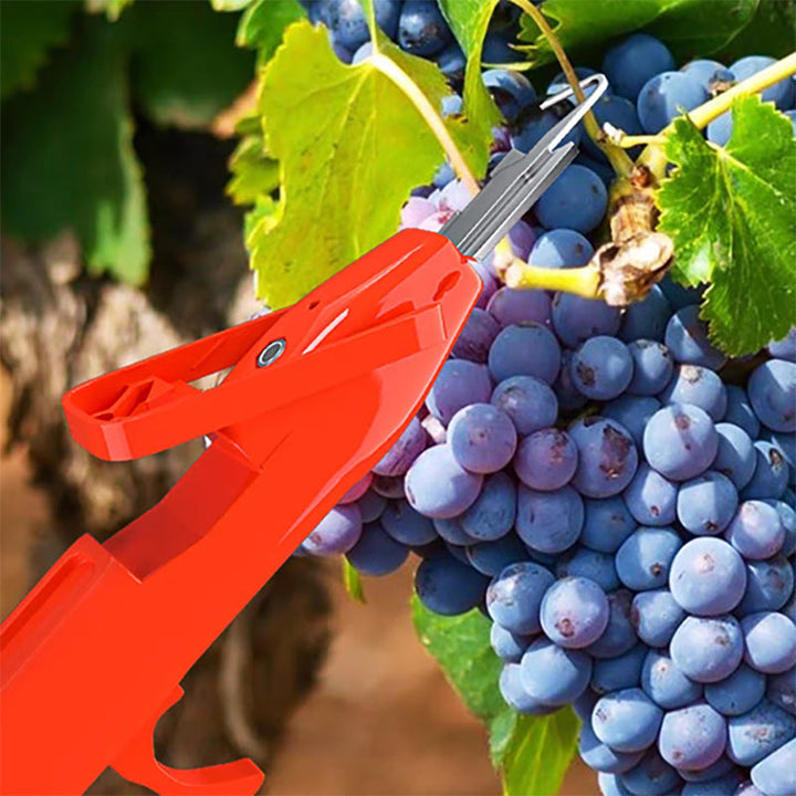 Efficient Pepper Picking Tools | Kalsten