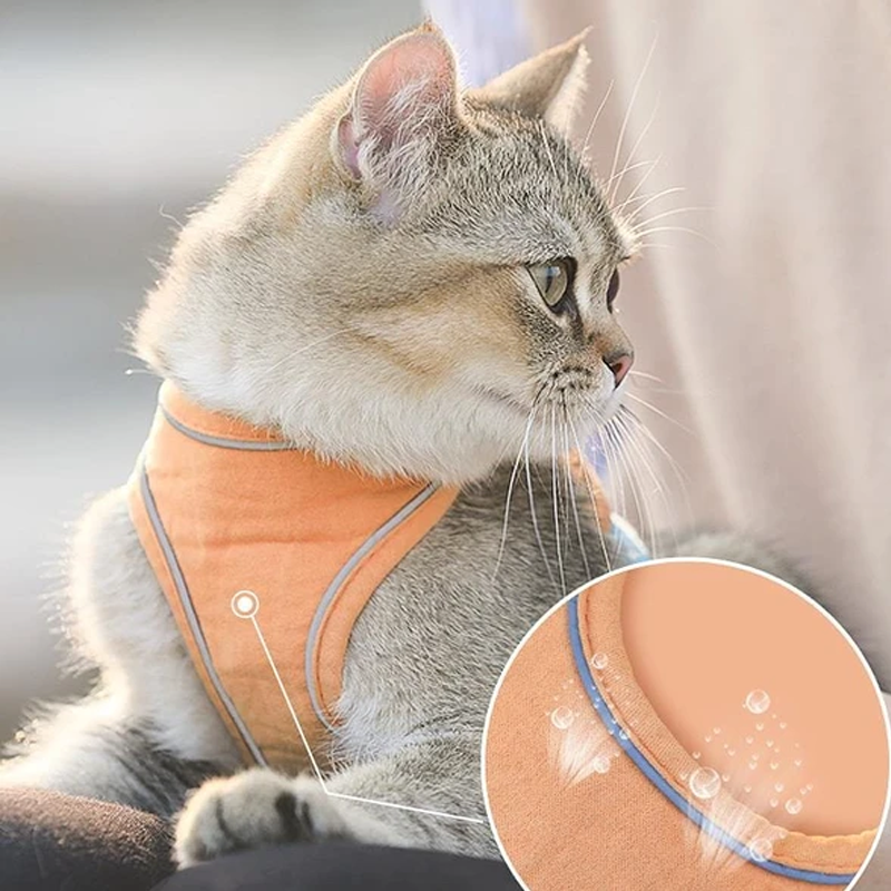Harness and Leash Set for Cat | Kalsten