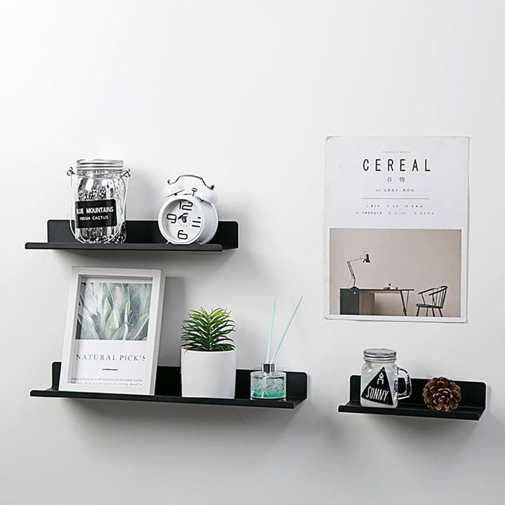 Single Metal Shelf Organizer