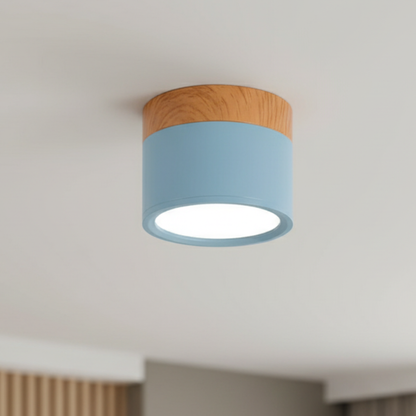 Aluminum LED Flush Mount Ceiling Light