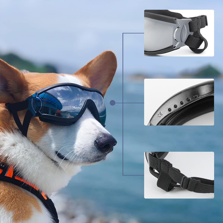 Kalsten | Outdoor Protection Glasses for Dogs