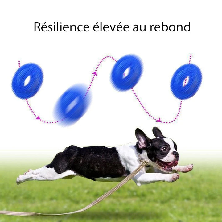 Vocal Ball Toy for Dog to Bite | Kalsten