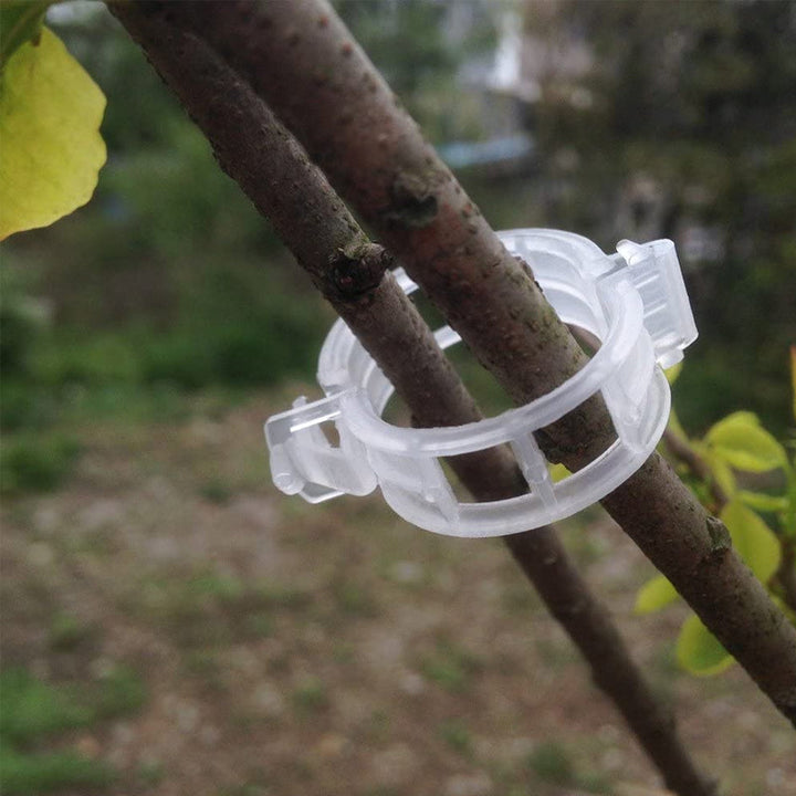 Plastic ring for holding plants | Kalsten