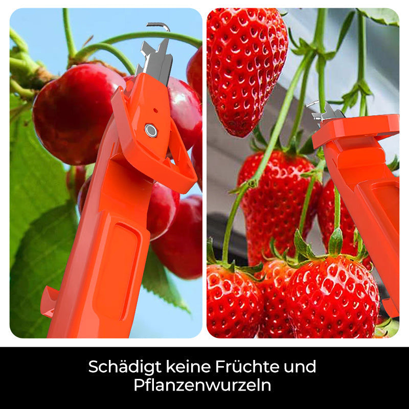 Efficient Pepper Picking Tools | Kalsten