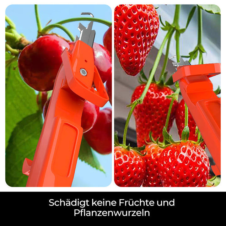 Efficient Pepper Picking Tools | Kalsten
