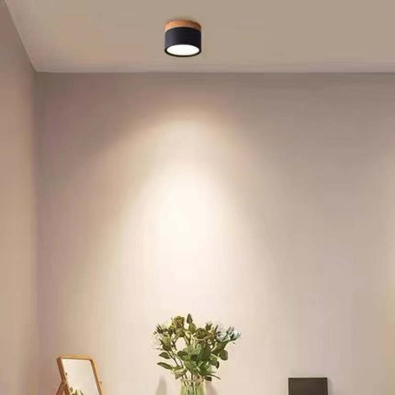 Morandi Style Modern LED Ceiling Lamp - LumiModo | Kalsten