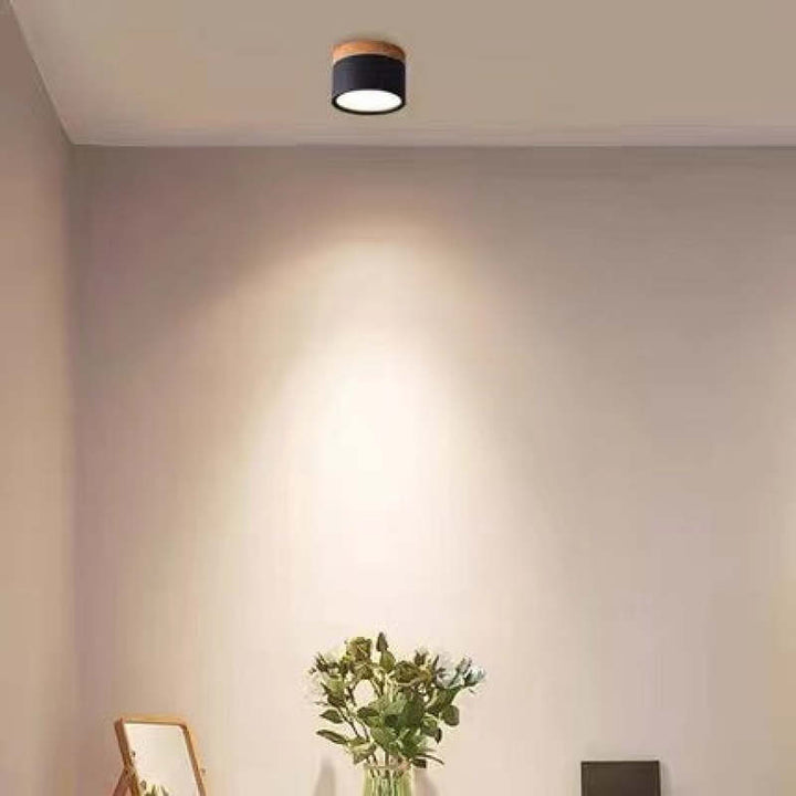 Morandi Style Modern LED Ceiling Lamp - LumiModo | Kalsten