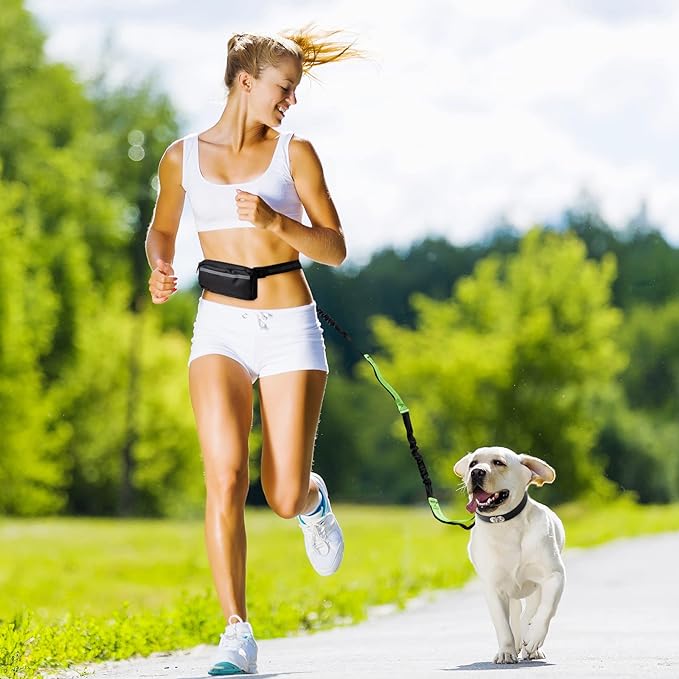Kalsten | PawsFree Pro – Enjoy stress-free walks with your dog