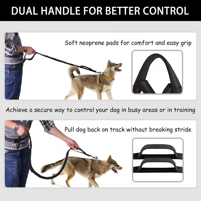 Kalsten | PawsFree Pro – Enjoy stress-free walks with your dog