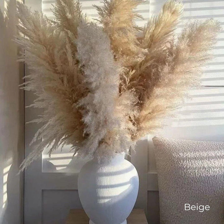 Kalsten | 80 cm natural, real dried pampas grass bouquet (white / beige / gray) │ fluffy feather for modern boho home decor