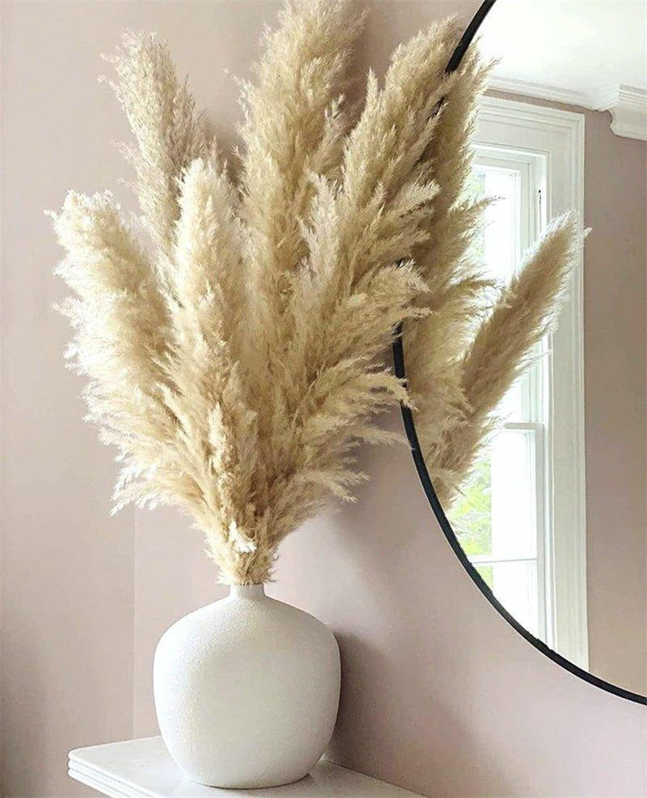 Kalsten | 80 cm natural, real dried pampas grass bouquet (white / beige / gray) │ fluffy feather for modern boho home decor
